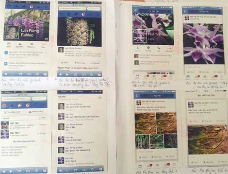 Chủ tài khoản Facebook 'Vườn Lan' với những phi vụ lừa đảo khắp cả nước