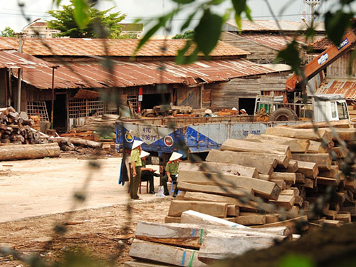Vụ phong tỏa 3 xưởng gỗ ở Đắk Lắk: Liên quan đường dây buôn gỗ lậu