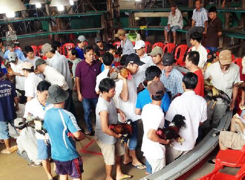 mô tả ảnh mo ta anh