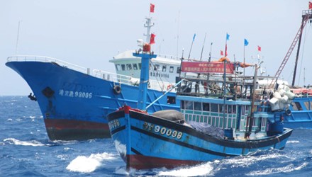 Cá, dầu khí và chủ quyền biển đảo