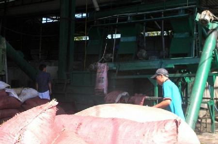 Giang hồ bắt, đánh đập người chế biến cà phê ở Lâm Đồng: Nỗi kinh hoàng của lao động nhập cư