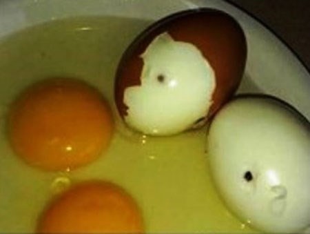 Sự thật về trứng gà bị tiêm máu có chứa HIV