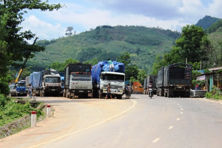 Nhiều xe chở gỗ quá tải tập kết  cách cửa khẩu La Lay chừng 10 - 15km